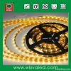 12v 24w/5m IP65 waterproof SMD 3528 smd flexible led strip