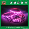 12v 24w/5m IP65 SMD 3528 smd led strip