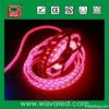 CE RoHS 12V 60leds/m waterproof SMD5050 LED Strips