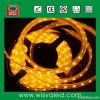 CE RoHS 12V 60leds/m waterproof SMD5050 LED Strips