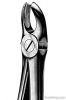 Extracting Forceps