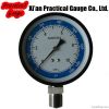 Ammonia Pressure Gauge