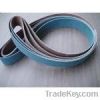 Dino Zircon Belt