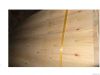 Eucalyptus core veneer