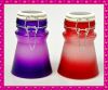 cylinder glass spice jar with glass lid and metal clip holder