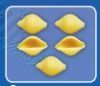 Shells (Conchiglie)