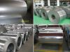 Galvanized steel coil/...