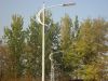 professional 20-100W LED street light system from china