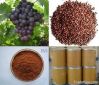 Natural Grape Seed Ext...