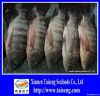 frozen tilapia whole r...