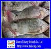 frozen tilapia whole r...