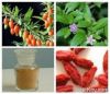 Goji (Wolfberry) Powder / Extract / Concentrate Juice