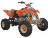 ATV 300cc