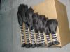 Top Quality Remy Hair Bulk Human Hair