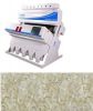 Rice Sorting Machine