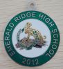 emerald ridge high school