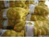 Hot sell 2012 new arrival Holland potato from china