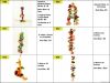 PCC Bird Toys, Perches and Stands