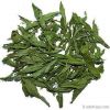 stevia leaf