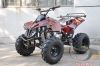 110cc/125cc atv/110cc/...
