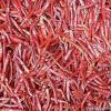 Dry Red Chilli, Whole ...
