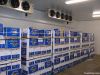 Cold room, cold store, freezer, chiller for meat and fish preservation