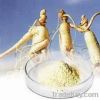 Ginseng Extract