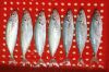 Yellow tail round Scad...