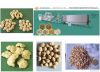 soya nuggets  protein production plant machine