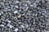 Wholesale Bulk Organic...