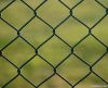 Galvanized and PVC Coated Chain Link Fence