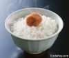 Japonica round rice