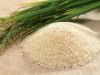Rice | Rice Exporter |...