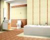 Bathroom ceramic tile ...