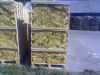 Firewood