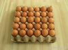 molded pulp/paper pulp...
