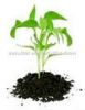 Granular Humic Amino A...
