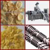Corn Flakes Processing...