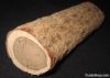 Australian Sandalwood