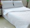 cotton bed sheet supplier