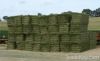 Alfalfa Hay Bales