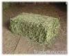 Horse Feed Hay