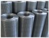 Galvanized welded wire mesh