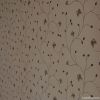 Seamless Wallcoverings