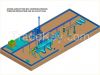 continuous process scr...