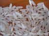 Vietnam White Rice 5% Broken