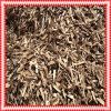 Wood chip