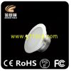 Hot Selling LED Down Light