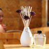 aroma reed diffuser