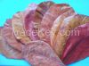 Dried Indian Almond Leaves